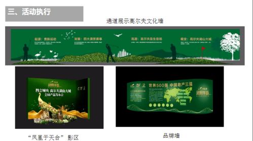 鳳凰半島全球產品發布會活動策劃案
